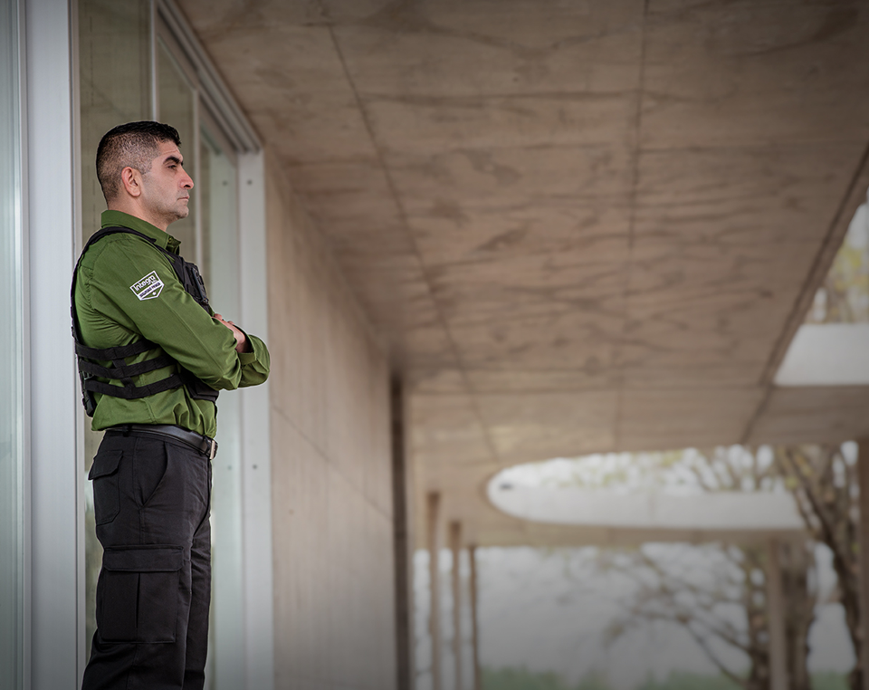 integra, integra srl, grupo integra, servicios de seguridad, servicios de accesos, personal de vigilancia, seguridad fisica, seguridad electronica, vigilantes, vigiladores, comercios, edificios, locales, construccion, obras, industrias, instituciones, seriedad, calidad, rosario, santa fe